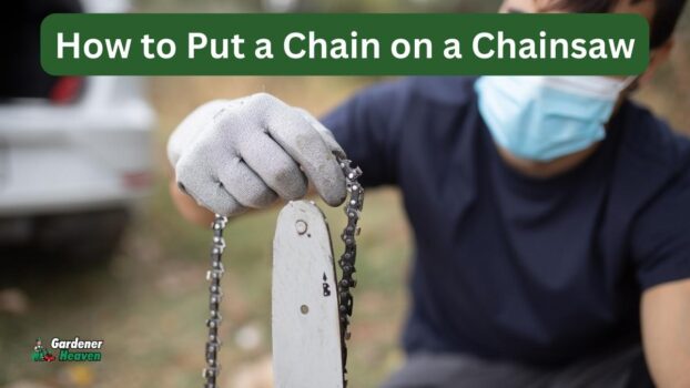 Chainsaw Chain Direction How To Put A Chain On A Chainsaw The Right Way