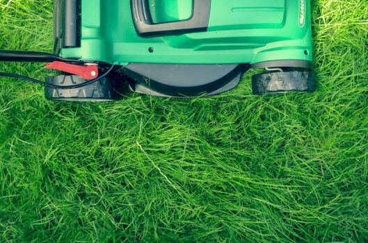Best Lawn Mower for Wet Grass