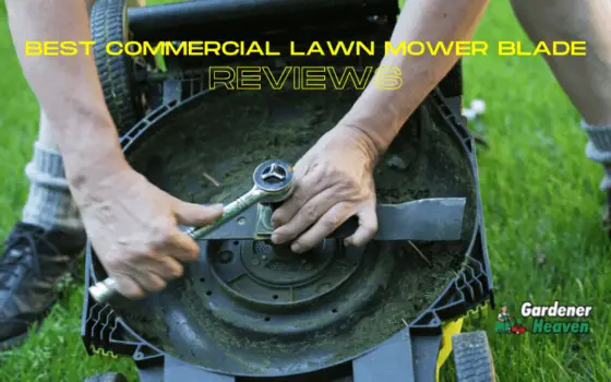 Best Commercial Lawn Mower Blades