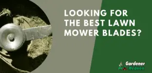 Best Lawn Mower Blades for Thick Grass