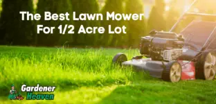 Best Lawn Mower For 1/2 Acre Lot