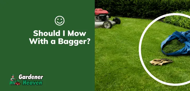 best lawn mower with bagger