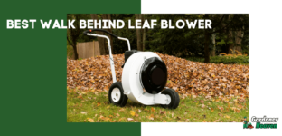 Best Walk Behind Leaf Blower