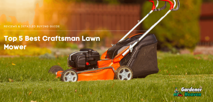 Top 5 Best Craftsman Lawn Mower