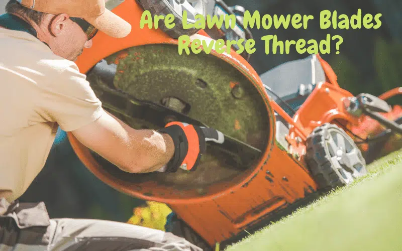 Are Lawn Mower Blades Reverse Thread