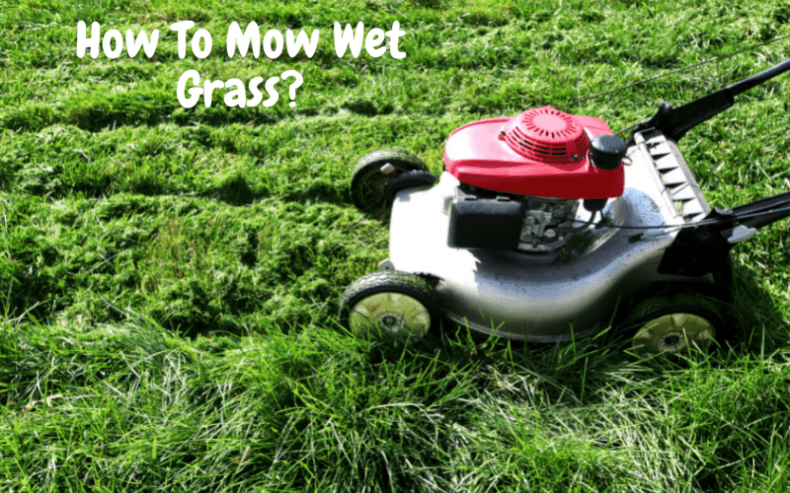 how-to-mow-wet-grass-expert-guide-and-tips