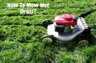 How To Mow Wet Grass
