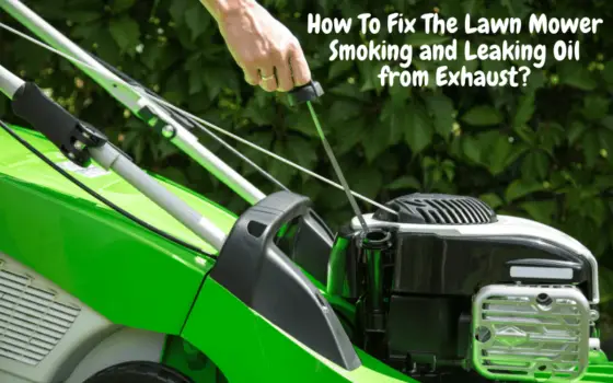 Lawn Mower Smoking and Leaking Oil from Exhaust