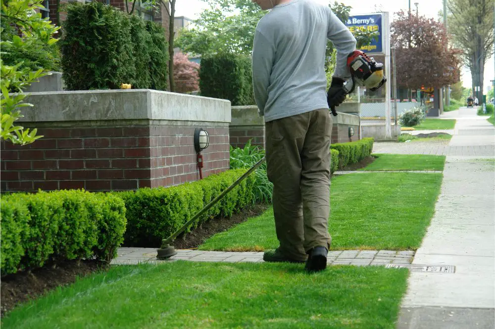 man cutting grass with string trimmer