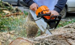 Chainsaw RPM Understanding and Optimizing Engine Speed for Performance