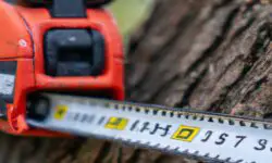 How to Measure a Chainsaw Bar: Step-by-Step Guide for Accurate Measurement
