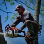 What Size Chainsaw Do I Need Factors to Consider and Choosing the Right Saw