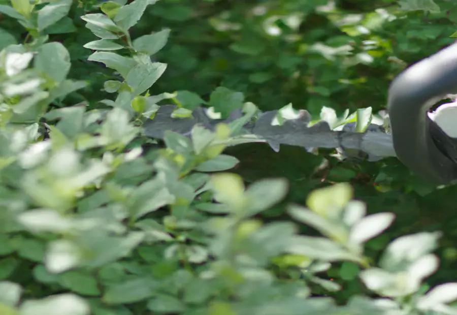 Choosing the Right Oil for Your Hedge Trimmer 