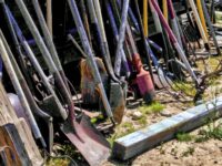organized gardening tools in a shed