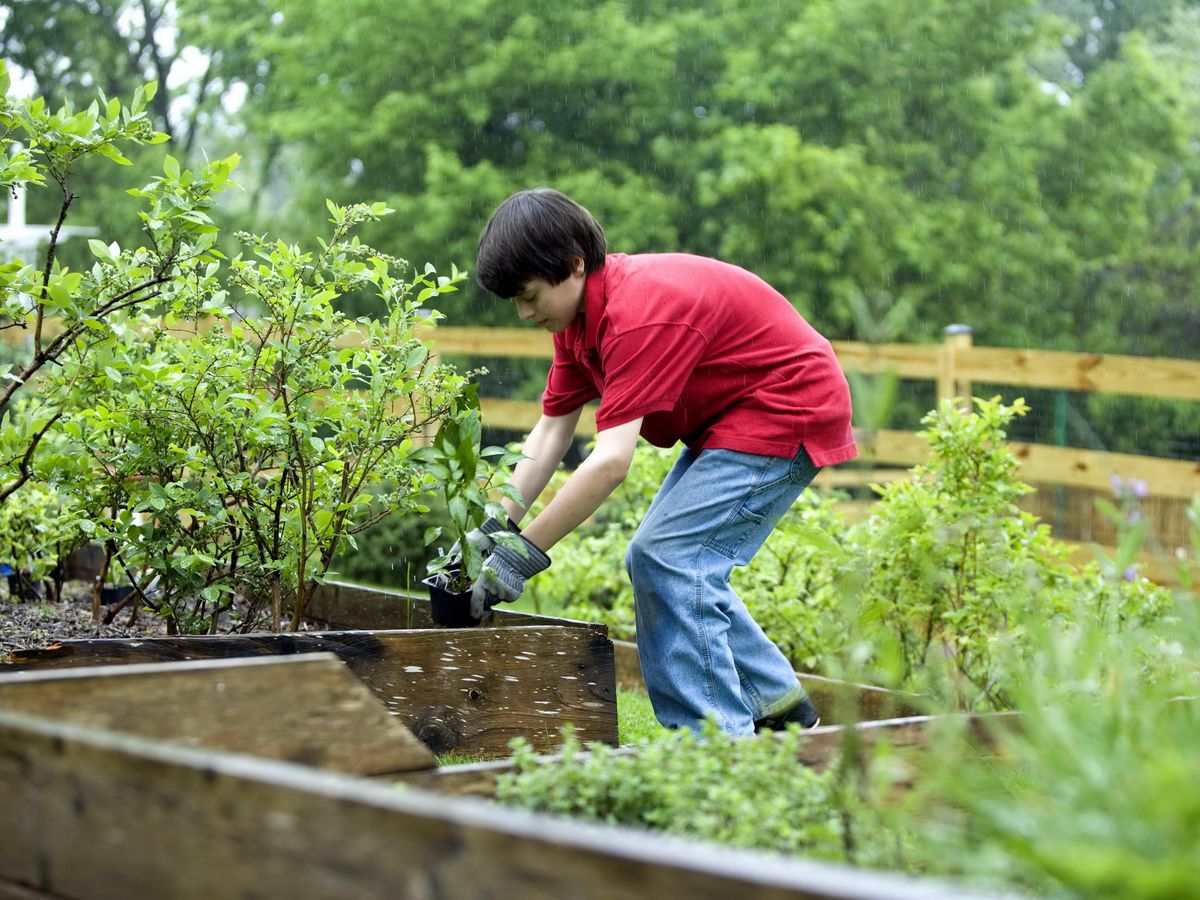 gardener using an edger in a well-maintained garden