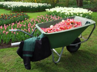 Top 10 Essential Tools for Garden Maintenance Every Gardener Needs