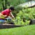 Mastering Eco-Friendly Gardening Practices: A Comprehensive Guide