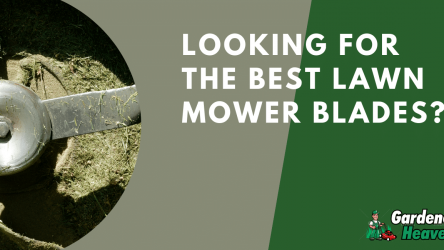 Top 7 Best Lawn Mower Blades for Thick Grass | Reviews & Buying Guide