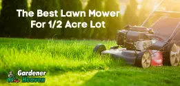 The Best Lawn Mower For 1/2 Acre Lot | Reviews & Detailed Buying Guide