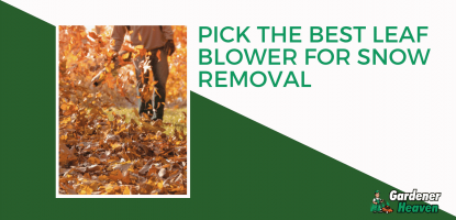 The Best Leaf Blower For Snow Removal | Reviews & Detailed Buying Guide 2021