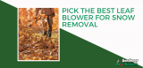 The Best Leaf Blower For Snow Removal | Reviews & Detailed Buying Guide