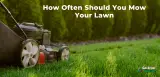 Here’s What No One Tells You About How Often Should You Mow Your Lawn