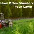 What To Do When Lawn Mower Starts Then Dies? | 5 Steps Detailed Guide