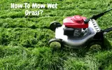 Everything You Should Know About How To Mow Wet Grass | Expert Guide