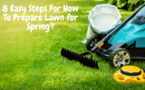 8 Easy Steps: How To Prepare Lawn for Spring?