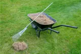 How To Use a Dethatching Rake