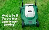 What to Do If You See Your Lawn Mower Smoking?