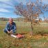 Top 10 Best Online Resources for Tree Pruning