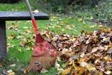 Best Rake For Lawns | Top 6 Detailed Reviews