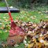 The 7 Best Commercial Backpack Leaf Blower | Reviews