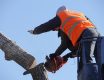 Best Electric Saw for Cutting Trees | Top 10 Reviews