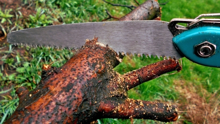 Which is the Best Tool for Cutting Tree Branches? | Top 10 Reviews